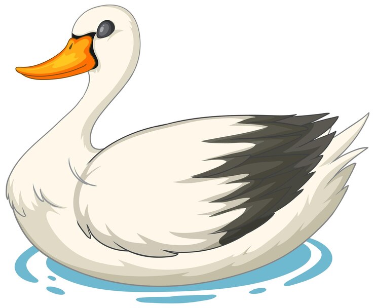 Vector Gratis graceful swan on serene water