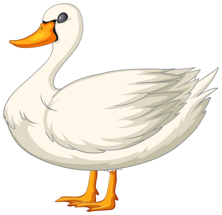 Vector Gratis graceful white duck vector illustration
