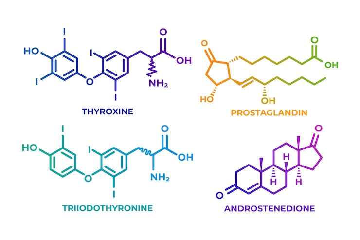 Vector Gratis gradient hormones element set