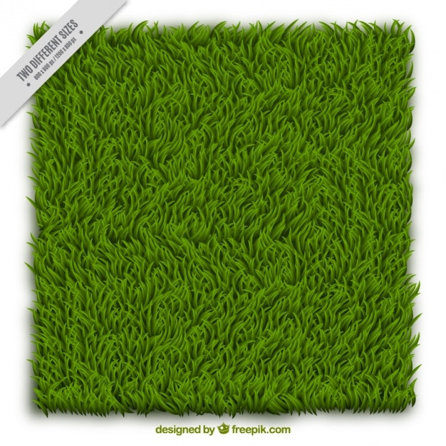 Vector Gratis grass background design