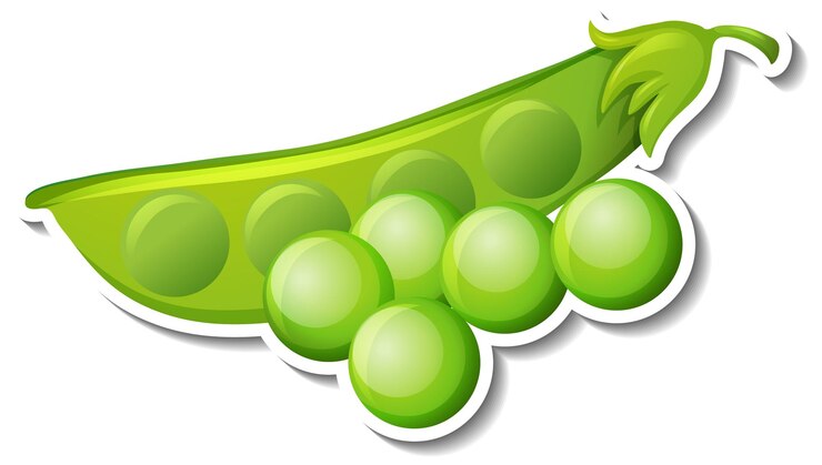 Vector Gratis green beans sticker on white background