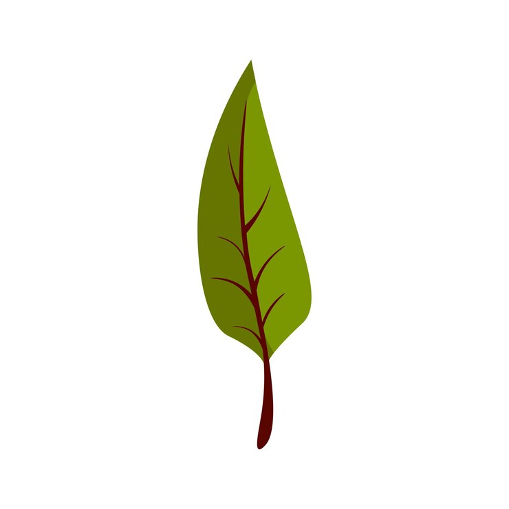 Vector Gratis green leaf on white background