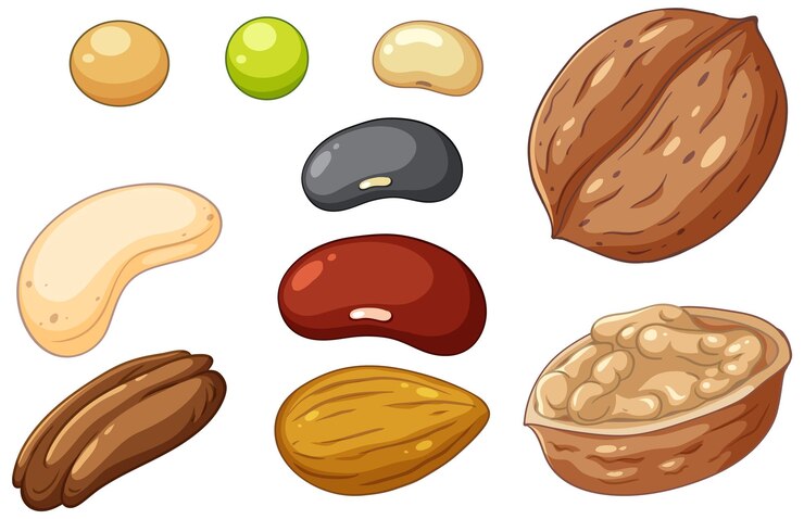 Vector Gratis group of different nuts isolated