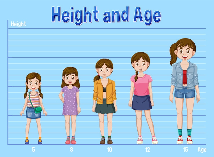 Vector Gratis group of girls displaying different ages and heights