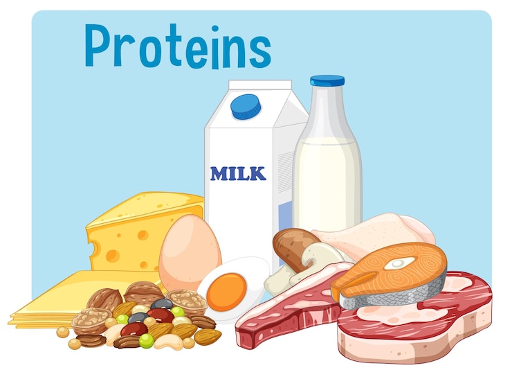 Vector Gratis group of protein food