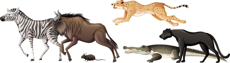 Vector Gratis group of wild african animal on white background