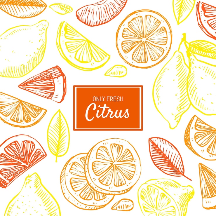 Vector Gratis hand drawn citrus background