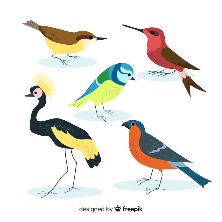 Vector Gratis hand drawn colorful bird collection