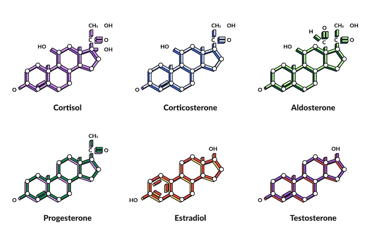 Vector Gratis hand drawn hormones elements collection