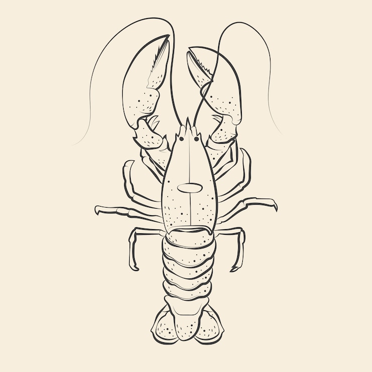 Vector Gratis hand drawn lobster drawing illustration