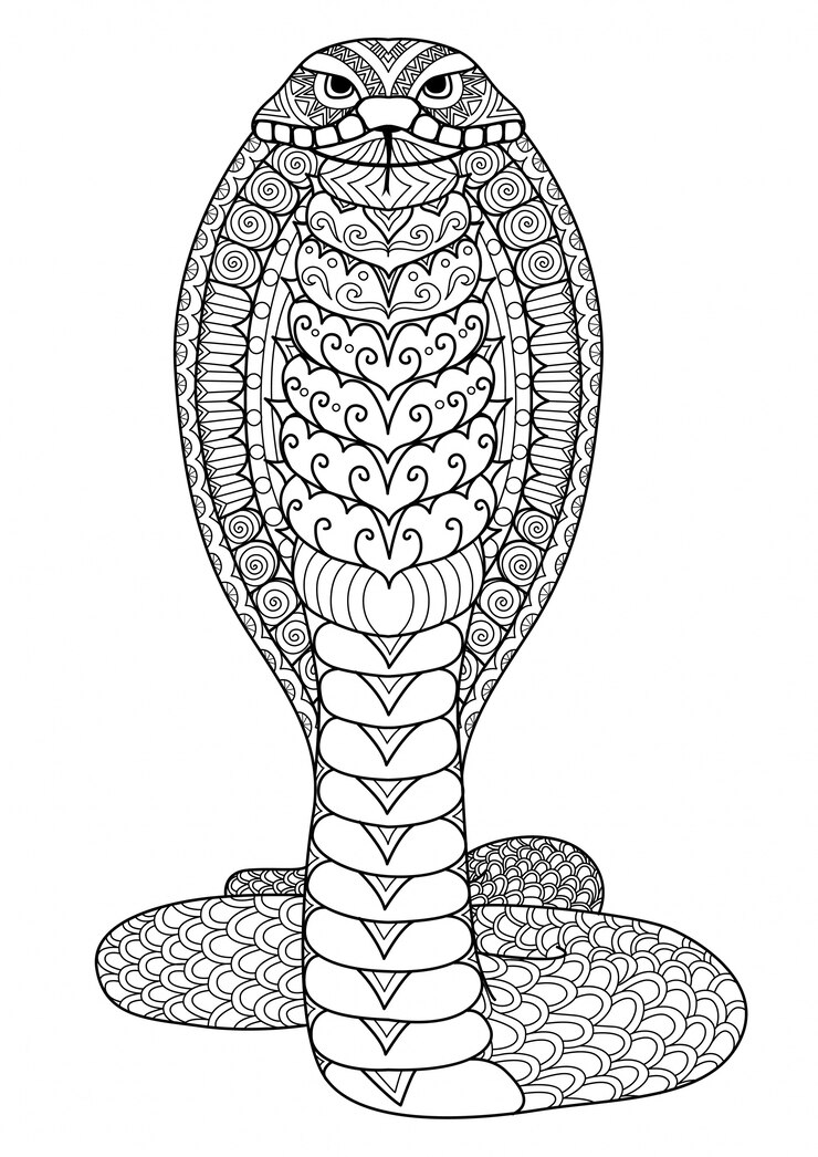Hand drawn snake background