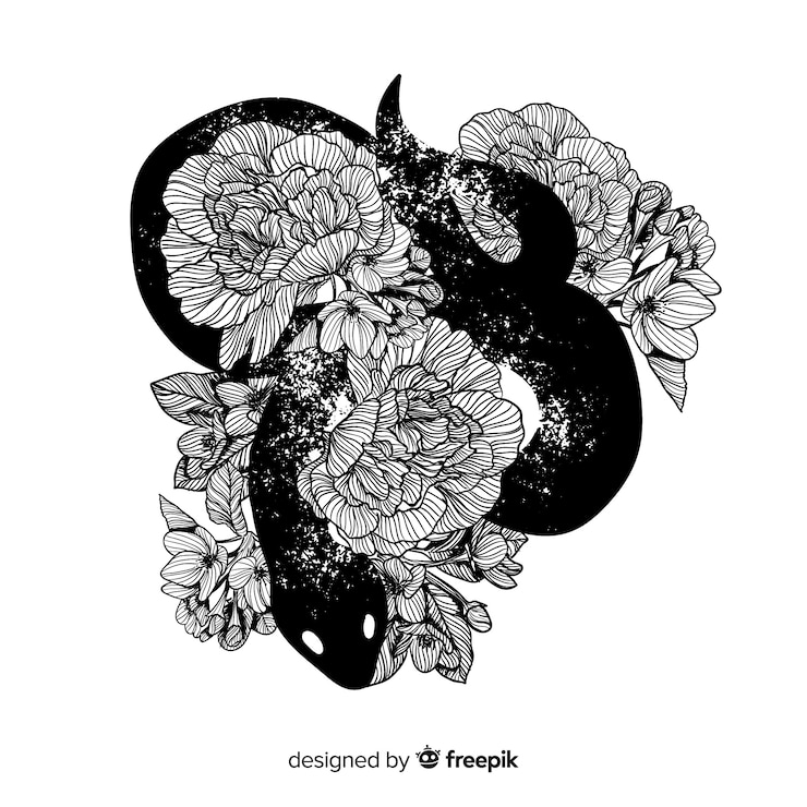 Vector Gratis hand drawn snake colorless background