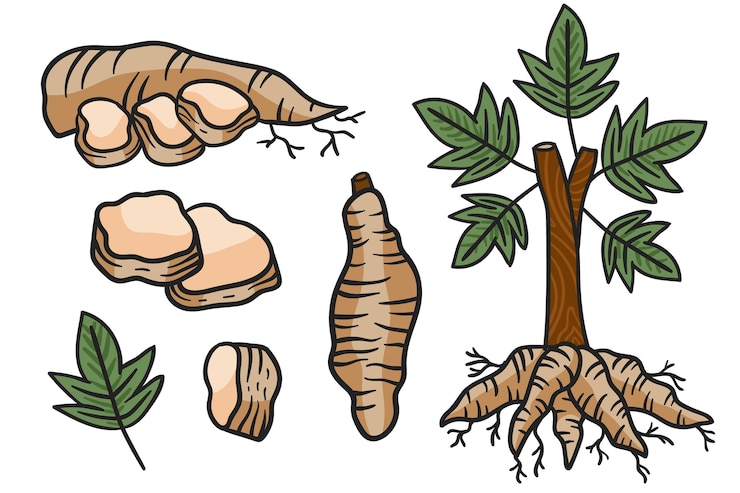 Vector Gratis hand drawn tapioca concept