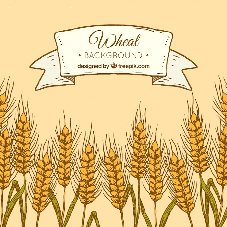 Vector Gratis hand drawn wheat background