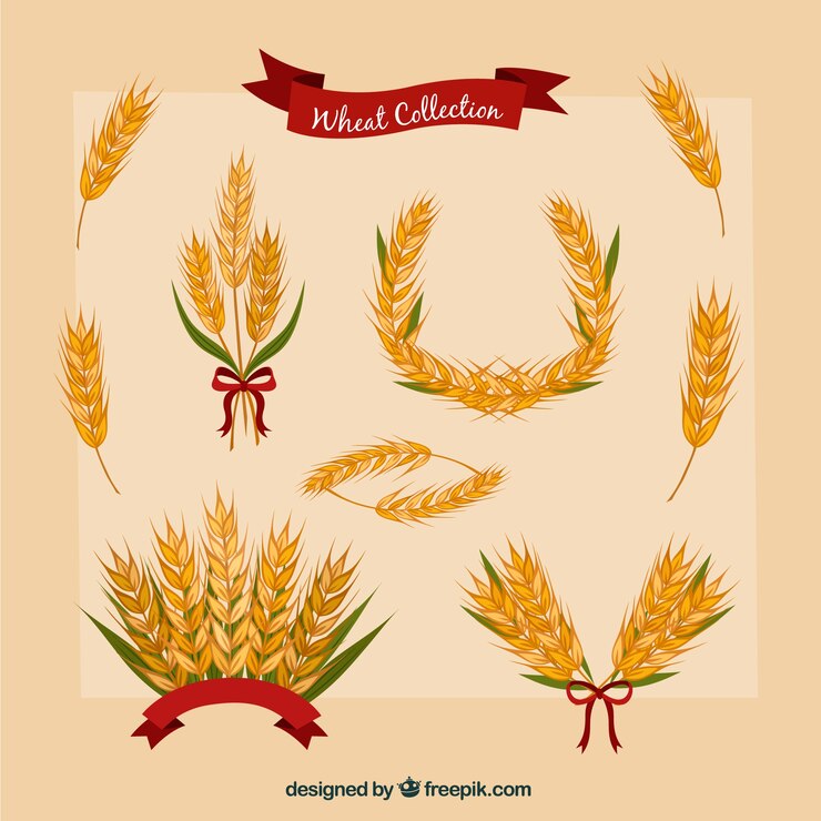 Vector Gratis hand drawn wheat collection