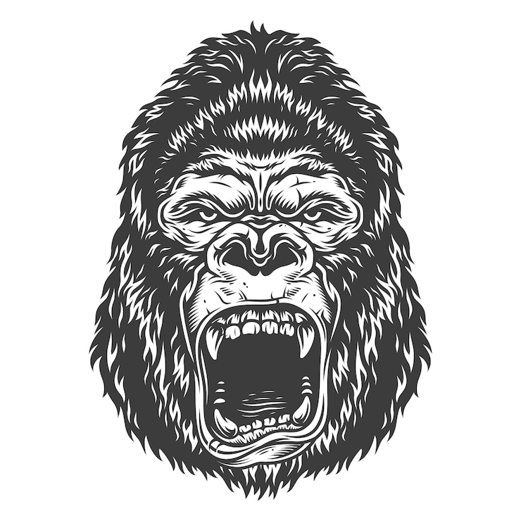 Vector Gratis head of gorilla