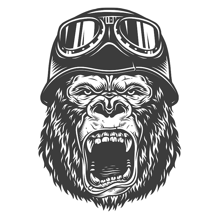 Vector Gratis head of gorilla