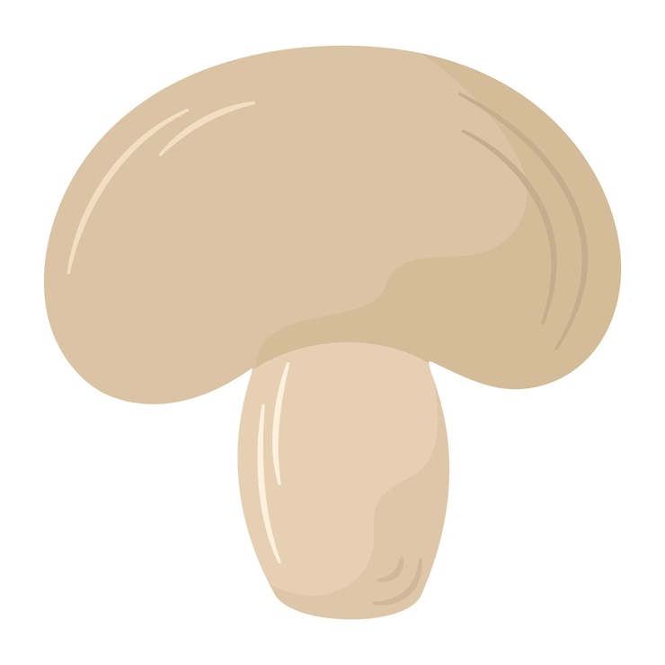 Vector Gratis healthy mushroom design