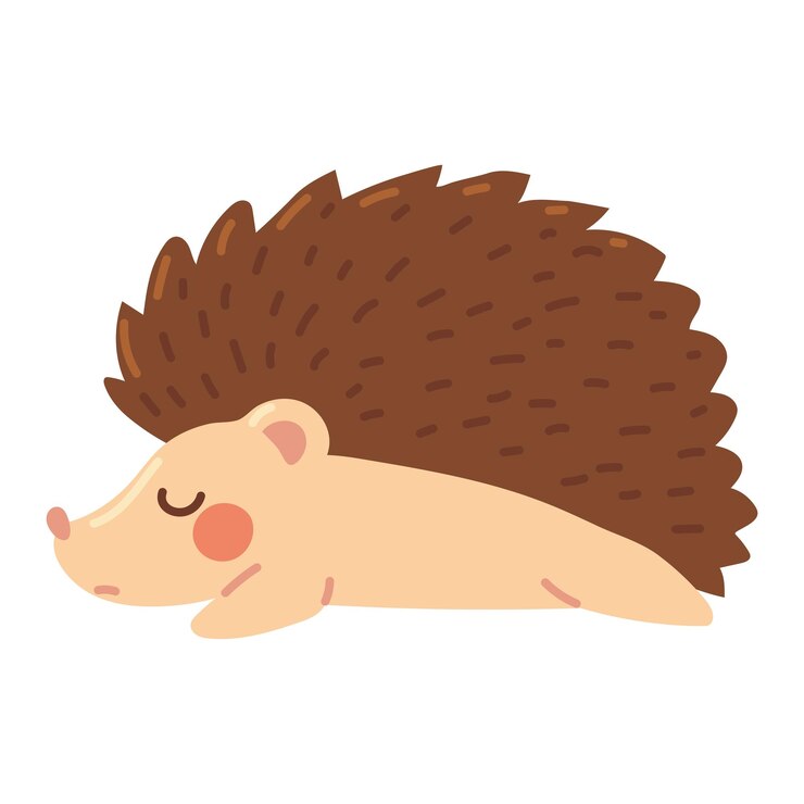 Vector Gratis hedgehog icon vector isolated illustration