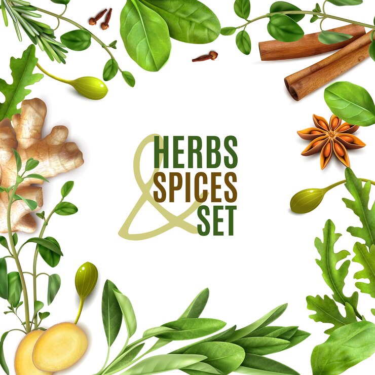 Vector Gratis herbs spices realistic square frame with fresh rosemary thyme rocket spinach leaves cinnamon ginger anise 