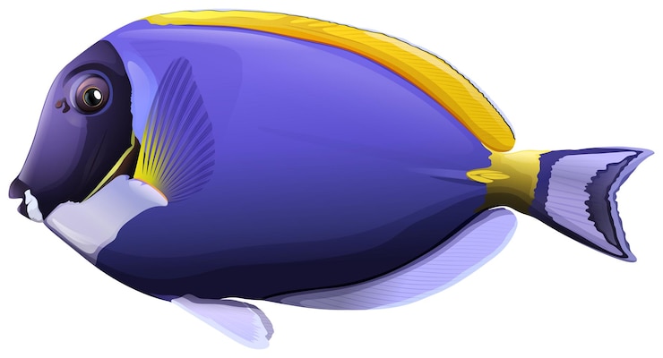 Vector Gratis ikan