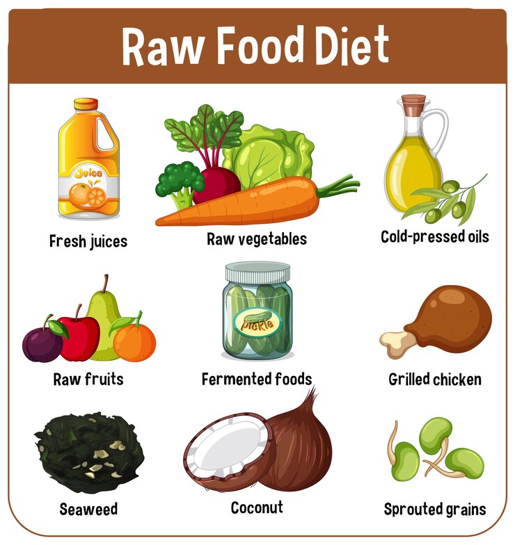 Vector Gratis illustrated guide to raw food diet essentials