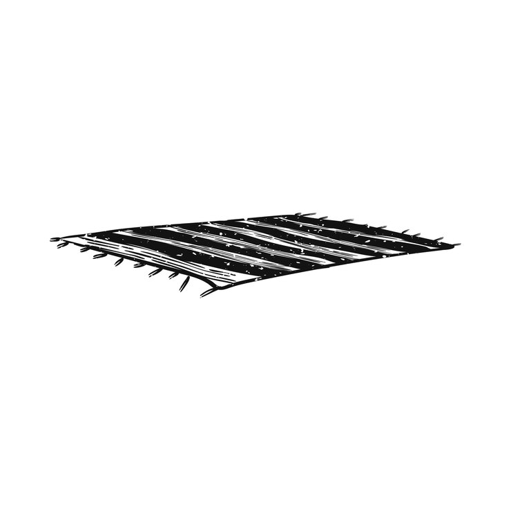 Vector Gratis illustration of summer and beach object