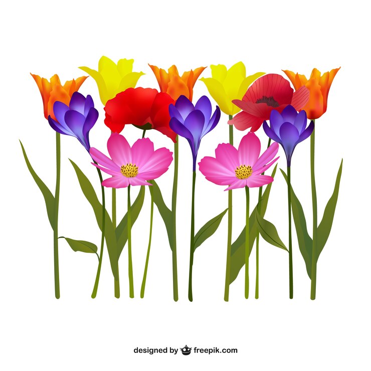 Vector Gratis ilustrasi bunga warna-warni