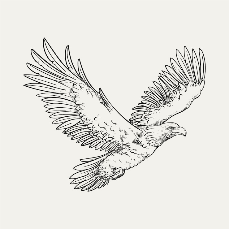 Vector Gratis ilustrasi gambar elang terbang digambar tangan
