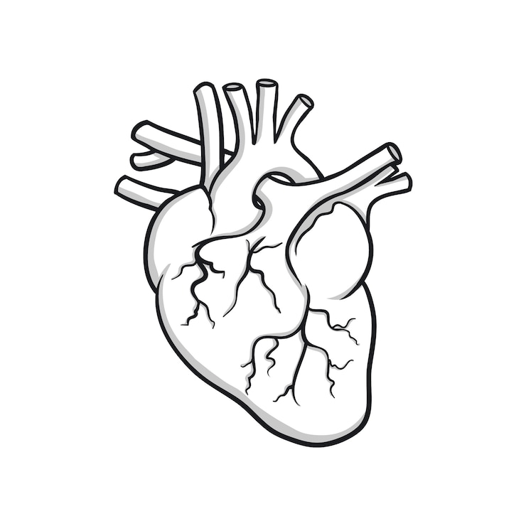 Vector Gratis ilustrasi gambar hati yang digambar tangan