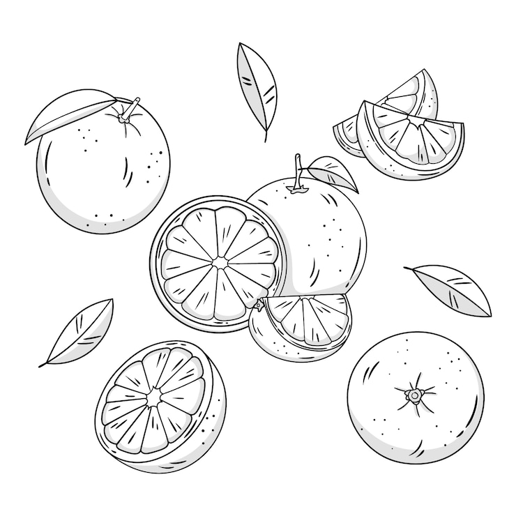 Vector Gratis ilustrasi garis luar oranye yang digambar tangan