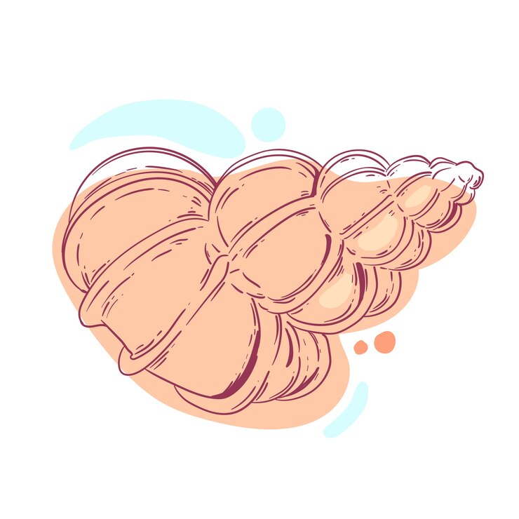 Vector Gratis ilustrasi garis luar seashell yang digambar tangan