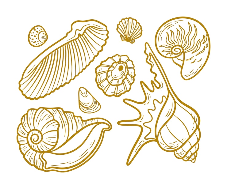 Vector Gratis ilustrasi garis luar seashell yang digambar tangan