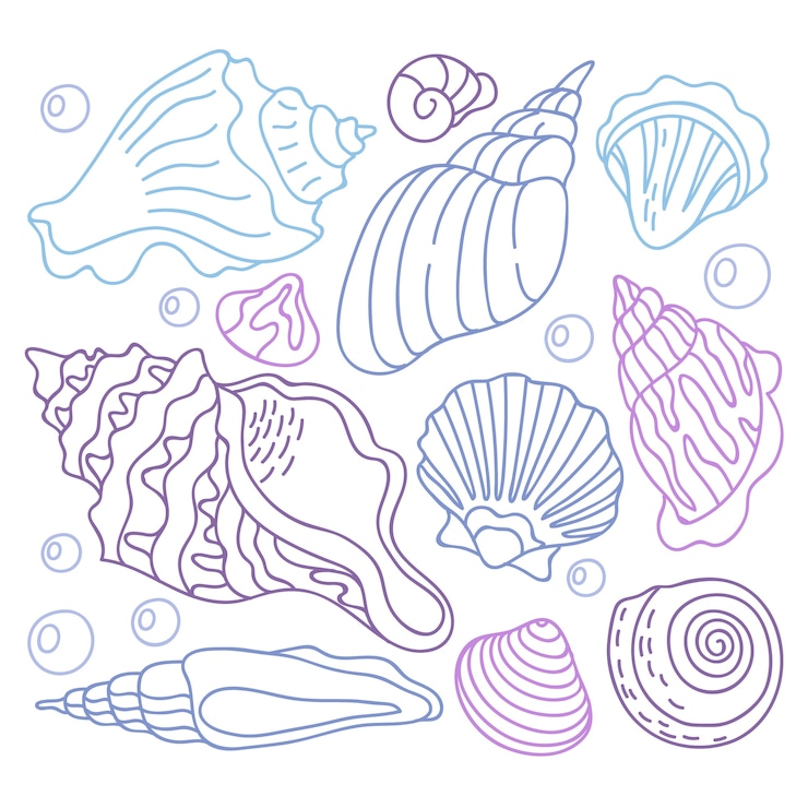 Vector Gratis ilustrasi garis luar seashell yang digambar tangan