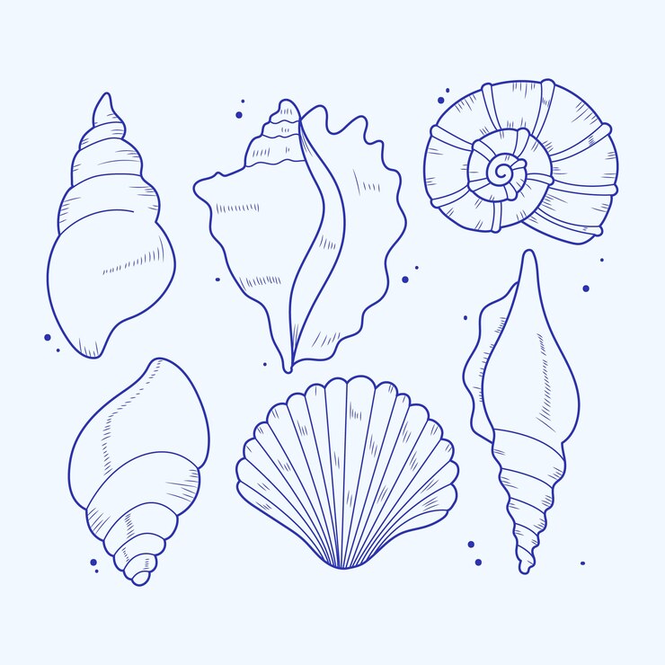 Vector Gratis ilustrasi garis luar seashell yang digambar tangan