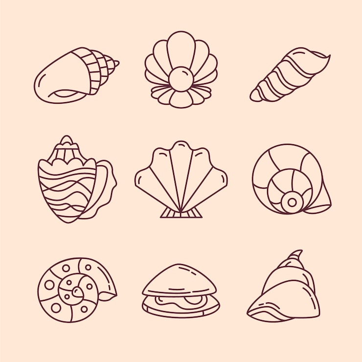 Vector Gratis ilustrasi garis luar seashell yang digambar tangan