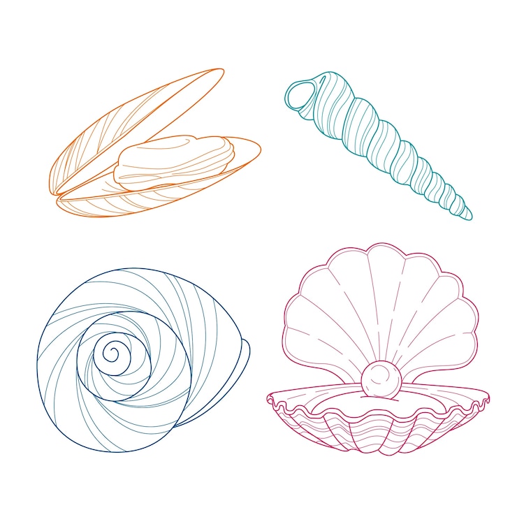 Vector Gratis ilustrasi garis luar seashell yang digambar tangan