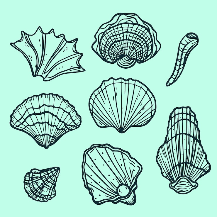 Vector Gratis ilustrasi garis luar seashell yang digambar tangan