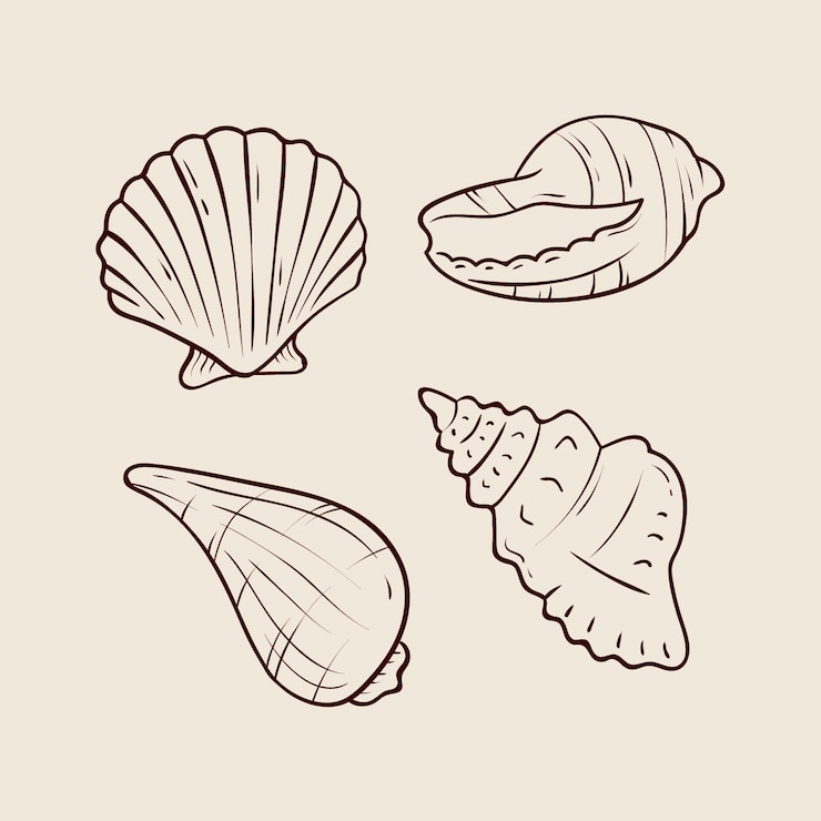 Vector Gratis ilustrasi garis luar seashell yang digambar tangan