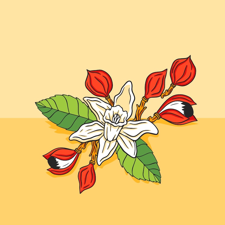 Vector Gratis ilustrasi guarana digambar tangan