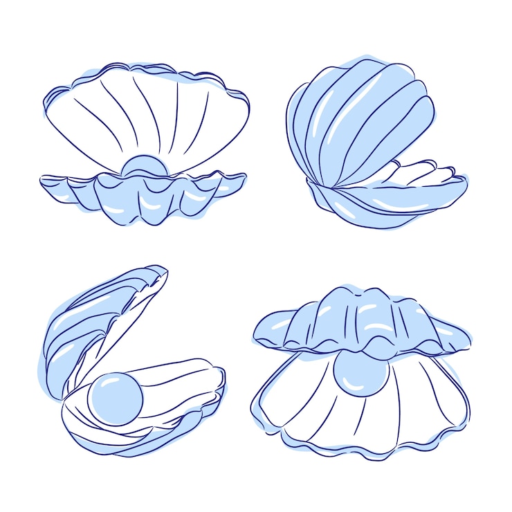 Vector Gratis ilustrasi kerang yang digambar tangan