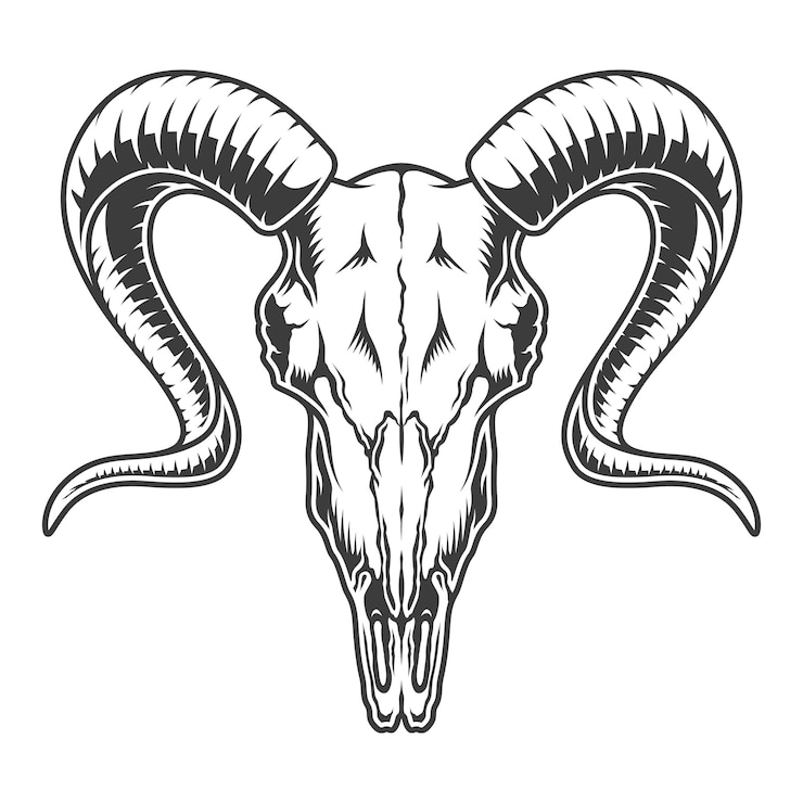 Vector Gratis ilustrasi tengkorak kambing monokrom