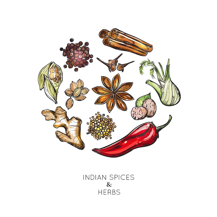 Vector Gratis indian spices herbs composition