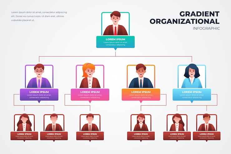 Vector Gratis infografis bagan organisasi gradien