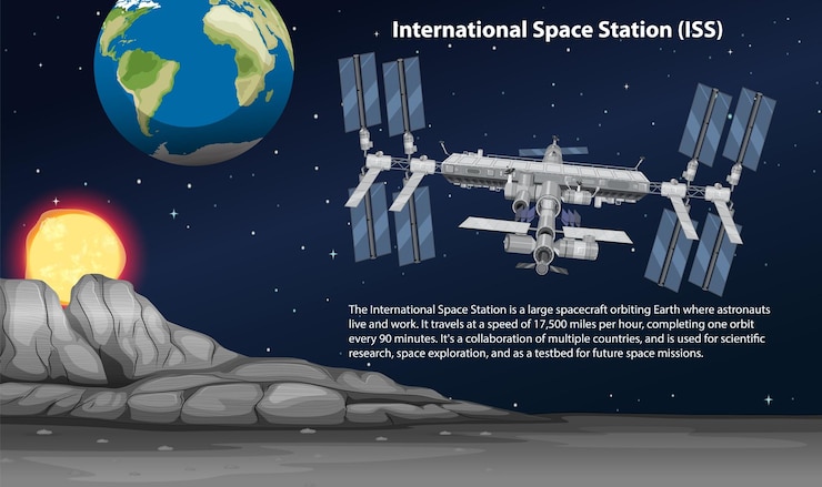 Vector Gratis international space station iss with information