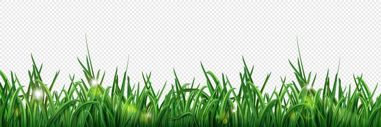 Vector Gratis isolated green grass lawn border illustration