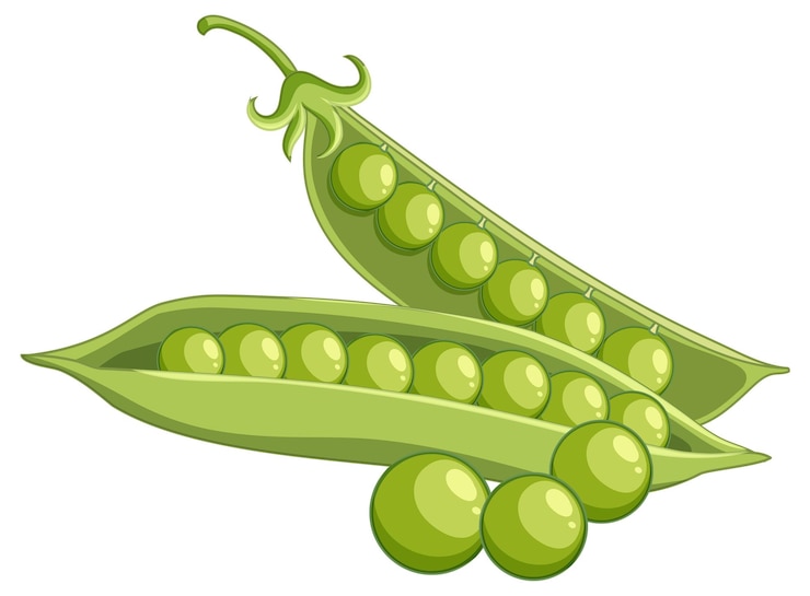 Vector Gratis isolated green peas cartoon