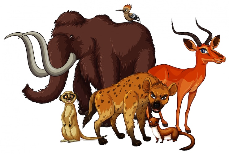Vector Gratis isolated picture of many animals