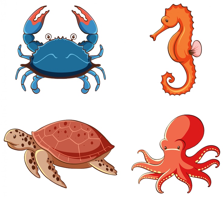 Vector Gratis isolated picture of sea creatures set