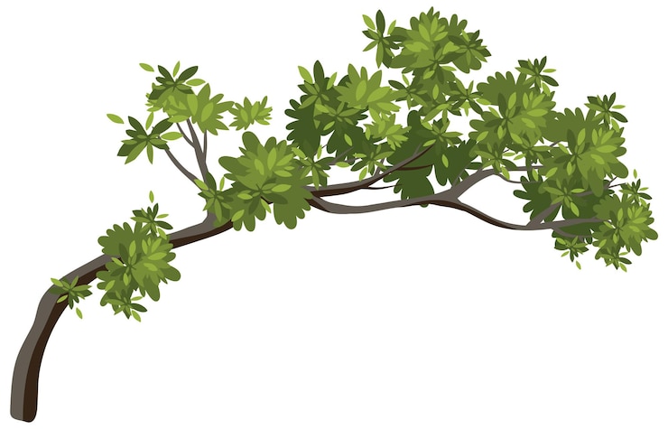 Vector Gratis isolated tree branch on white background